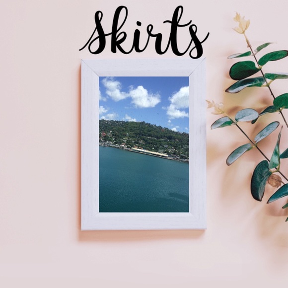 💕Skirts💕 - Picture 1 of 1